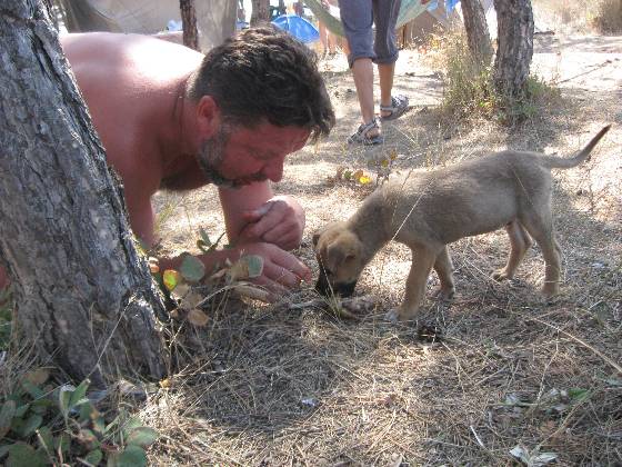 Ох, как долго не кормили.....